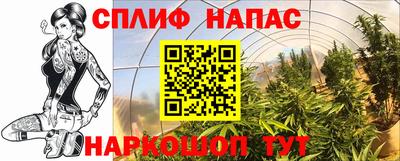 стаф Будённовск