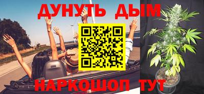стаф Будённовск
