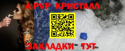 стаф Будённовск