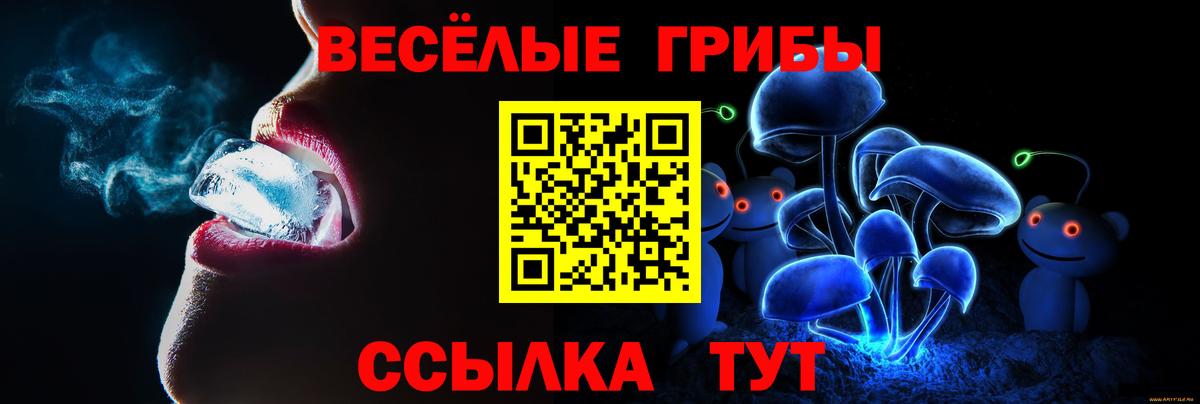 Галлюциногенные грибы GOLDEN TEACHER  Вход с VPN  Осинники 